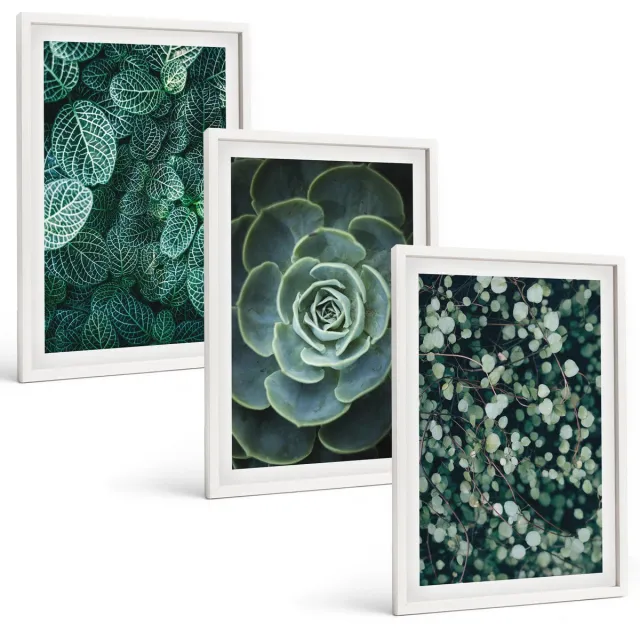 TULUP 3-Delige Schilderij Set - Groene bladeren van vetplanten en tere takjes - 40x60 - Decoratieve Muurdecoratie - Slaapkamer - Moderne Wanddecoratie Witte lijst