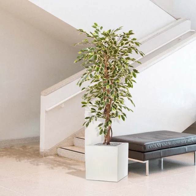 maxifleur Kunstplanten Ficus Hawai kunstboom 150cm Bont