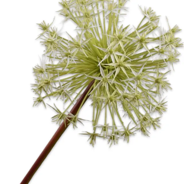 Silk-ka Kunstbloem-Zijden Bloemen Allium Steel Wit 104 cm