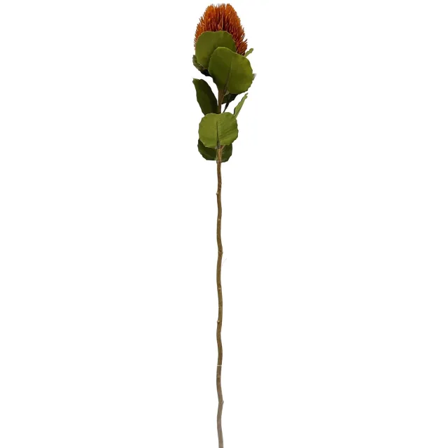 homebound by ky Kunsttak Banksia 59cm burgundy Rood
