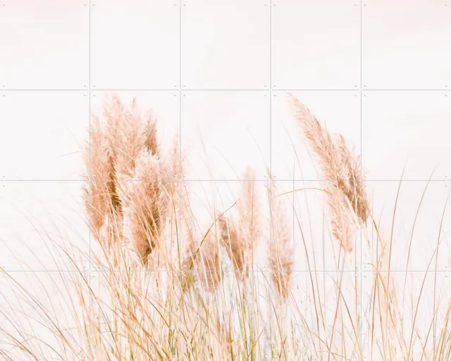 IXXI Pampas Grass, Ingrid Beddoes - 100 x 80 cm - Grote wanddecoratie en posters - Fotografie, Minimalisme, Slaapkamer, Woonkamer, Natuur, Planten Roze / Beige