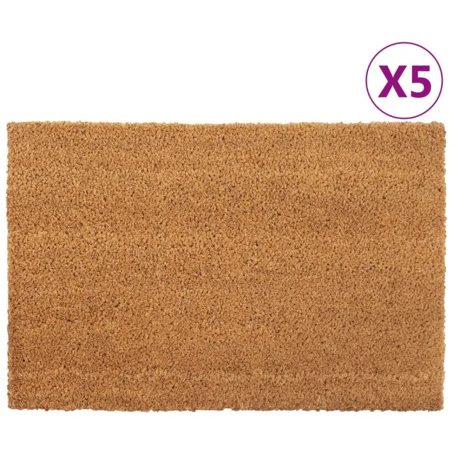 vidaXL Deurmatten 5 st 40x60 cm getufte kokosvezel naturel Bruin