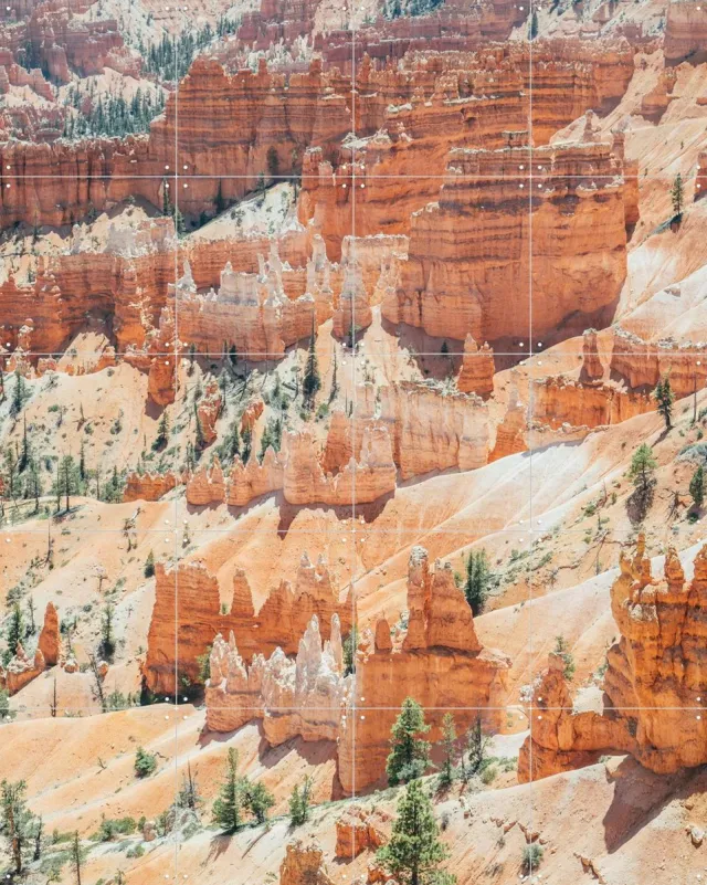 IXXI Bryce Canyon, Pati Photography - 80 x 100 cm - Grote wanddecoratie en posters - Fotografie, Naturalisme, Woonkamer, Mancave, Slaapkamer Oranje / Warme kleuren