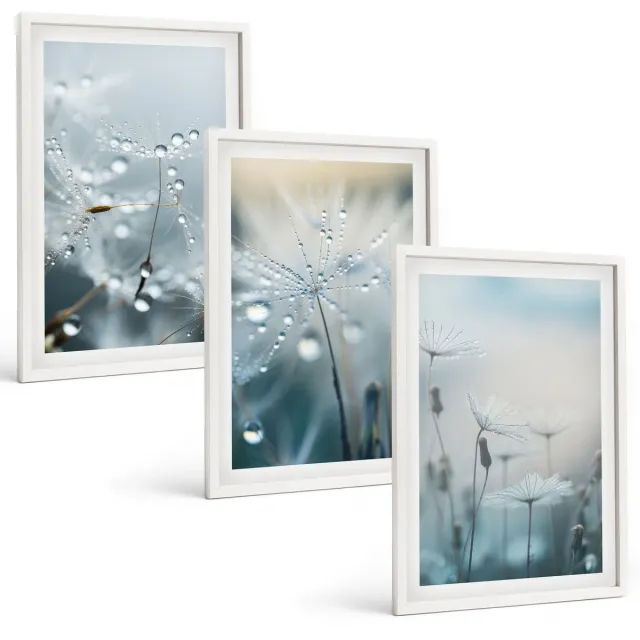 TULUP 3-Delige Schilderij Set - Dauwdruppels op tere paardenbloemen - 40x60 - Stijlvolle Wanddecoratie - Interieur - Moderne Wanddecoratie Witte lijst