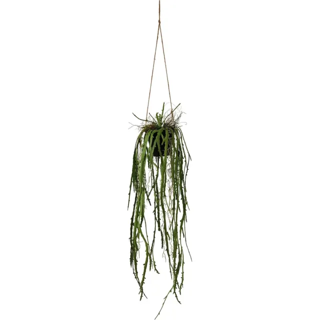 Kunstpalm Kunst Hangplant Aloë | 95cm - Plant met pot - Namaak hangplant Aloë - Kunstplanten voor binnen - Kunst hangplant aloë lichtgroen