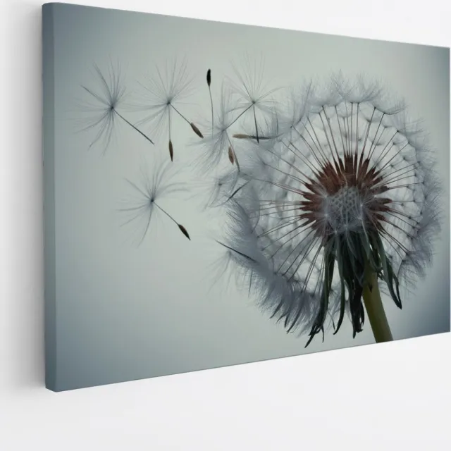 Saammp Canvas Schilderij - Dandelion met zaadjes in de wind - Natuur - Bloemen - 40x30 - Foto op canvas - Wanddecoratie - Muurdecoratie Woonkamer - Kantoor Decoratie Multicolor