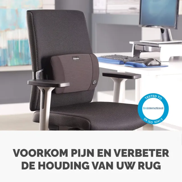 Fellowes PlushTouch Rugsteun | Ergonomische Lendesteun voor Bureaustoel | Memory Foam Rugkussen | Rugondersteuning voor Kantoor en Thuiswerken Zwart