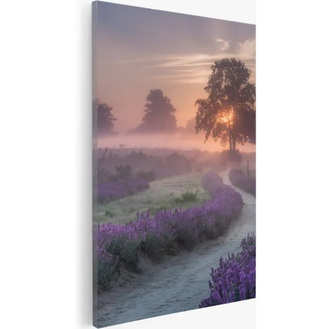 Saammp Canvas Schilderij - Lavendelveld met mist - Natuur - Landschap - 50x70 - Foto op canvas - Wanddecoratie - Muurdecoratie Woonkamer - Slaapkamer decoratie - Canvas Print Multicolor