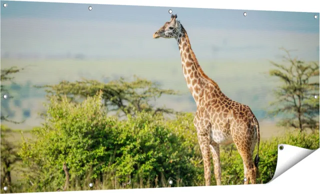 Gards Tuinposter Giraffe in het Wild tussen de Struiken - 160x80 cm - Tuindoek - Tuindecoratie - Wanddecoratie buiten - Tuinschilderij Multikleur