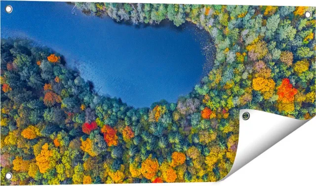 Gards Tuinposter Kleurrijke Bos met Bomen naast een Meer - 80x40 cm - Tuindoek - Tuindecoratie - Wanddecoratie buiten - Tuinschilderij Multikleur