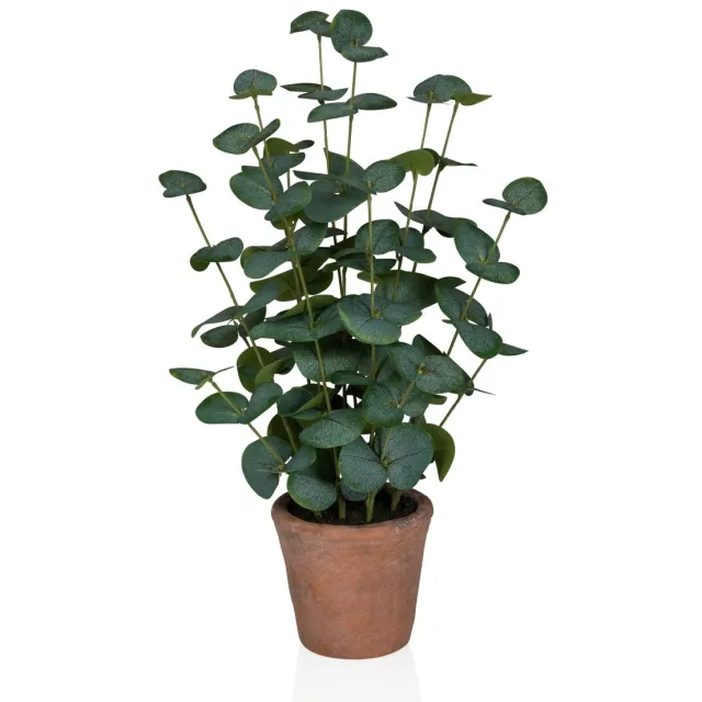 hjh office Kunstplant / potplant EUCALYPTUS BONSAI 46 cm kunststof groen hjh OFFICE