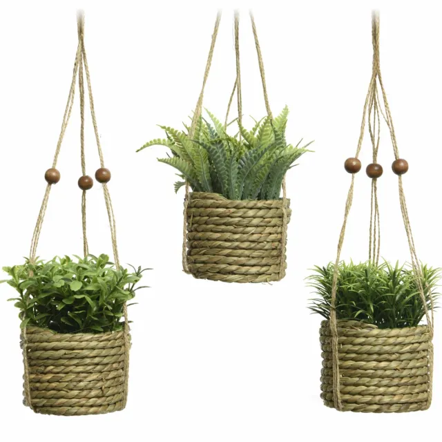 HEM Kunstplant Hangplant Set 3x – Plantenhanger Jute Mand – Kleine Kunstplanten 12 cm – Groen – Onderhoudsvrij