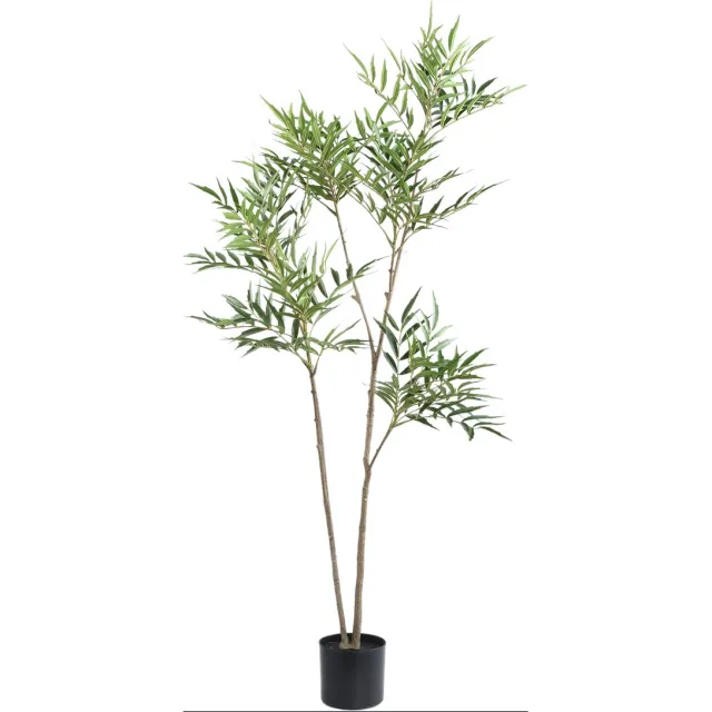PTMD Tree Green Mahonia Fortunei Tree In Black Pot Groen