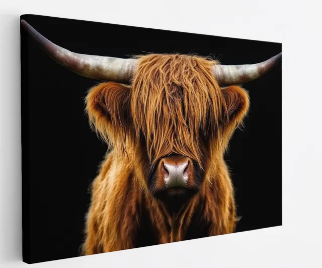 Saammp Canvas Schilderij Schotse Hooglander Koe in het hoge gras - Dieren - Natuur - 60x40 - Foto op canvas - Wanddecoratie - muurdecoratie Woonkamer - Slaapkamer decoratie - Canvas Print Multicolor