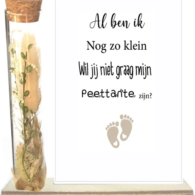 Stars 4 you Droogbloemen in buisje | PEETTANTE | beige | al ben ik nog zo klein | peettante vragen | peettante worden | meter vragen | meter worden