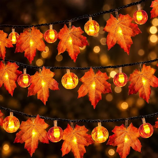 ZVD 3 Meter Herfst Lichtslinger Met 20 LED Lampjes - Herfstdecoratie Voor Binnen En Buiten - Geschikt Voor Thanksgiving En Halloween