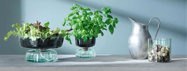 L.S.A. Canopy Vaas 14 cm Recycled - Gerecycled Glas - Transparant
