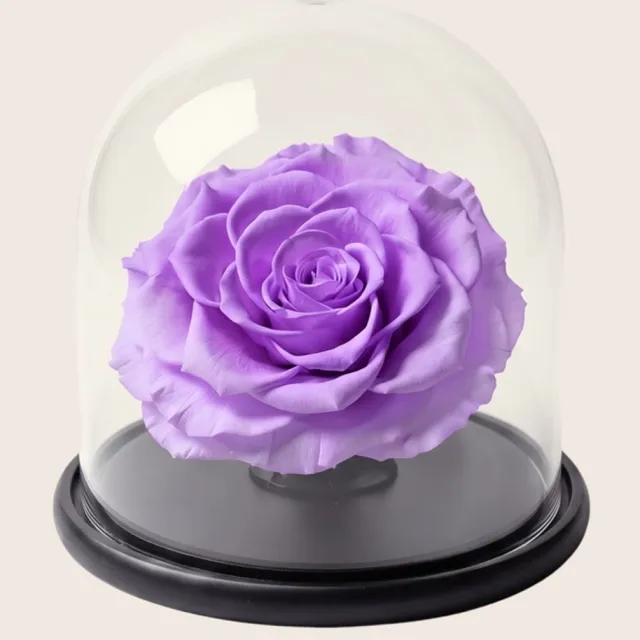 RoseAmor Mini Longlife Roos onder Glazen Stolp 13,5 cm – Echte Houdbare Roos – Lavendelpaars – Cadeau voor Haar