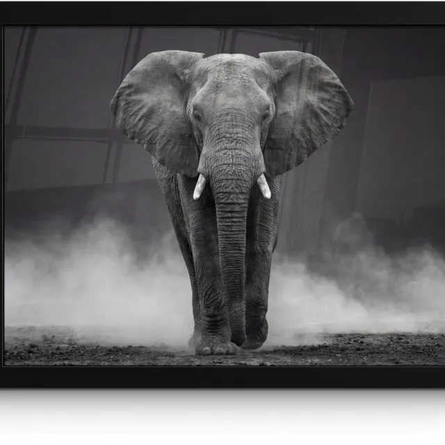 FrameYourWall Poster in lijst - Fotolijst 40x30 cm - Posters - Olifant - Zwart - Wit - Rook - Posterlijst zwart - Decoratie - Wanddecoratie woonkamer - Muurdecoratie slaapkamer