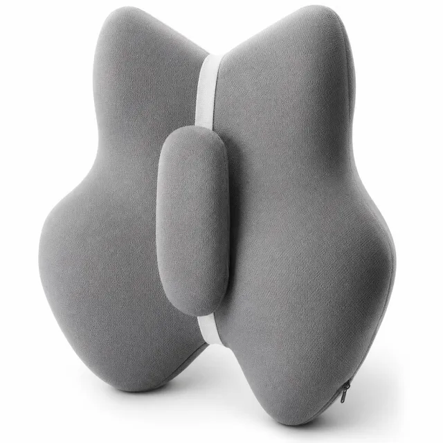 Gloovon Ergonomische Lendensteun - Rugkussen Traagschuim - 3-Zone Steun & Ademende Mesh Hoes - 42.4x45x13.4 cm - Antraciet