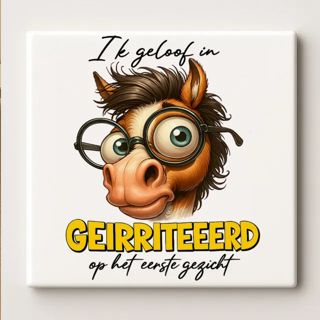 Nevolis Ik Geloof in Geïrriteerd op het Eerste Gezicht Grappige Tekst Decoratieve Tegel – Humoristische Wanddecoratie – 15 x 15 cm Multi Color