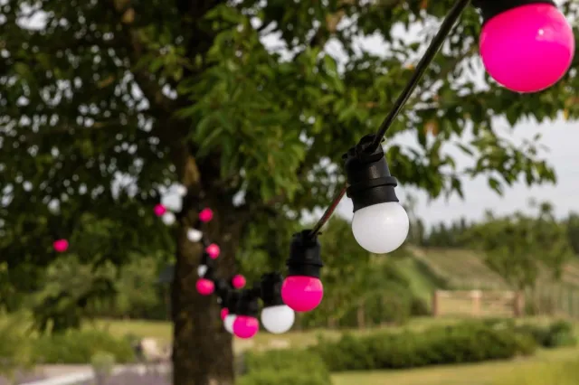 Happy Lights HappyLights lichtsnoer buiten [Outdoor] Pink Blossom- 30 LED's - 15m