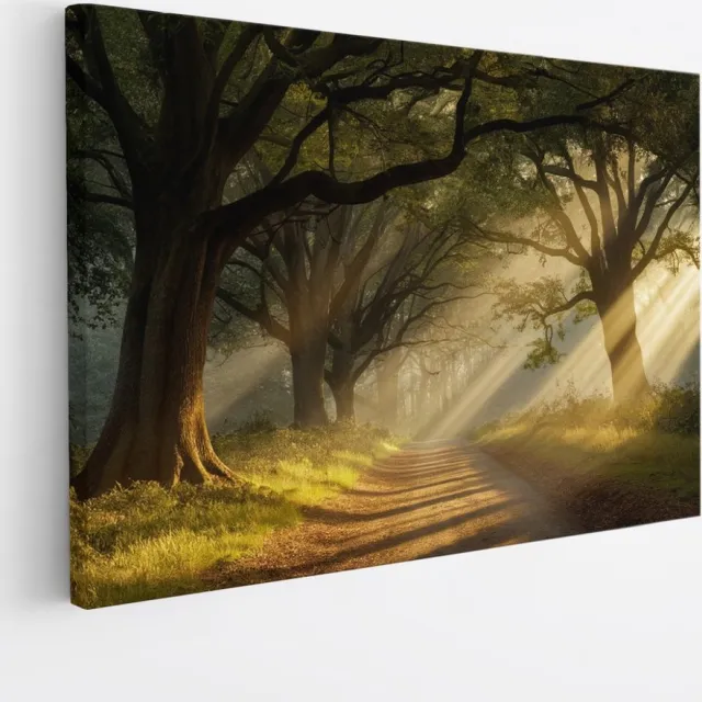 Saammp Canvas Schilderij - Landschap - Zonneschijn op een pad tussen de bomen - Natuur - 45x30 - Foto op canvas - Wanddecoratie - Muurdecoratie Woonkamer - Slaapkamer decoratie - Canvas Print Multicolor