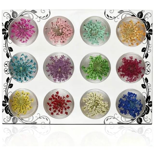 Famanu Gedroogde bloemen set van 12 kleuren voor nagelkunst en sieraden, in transparante doos