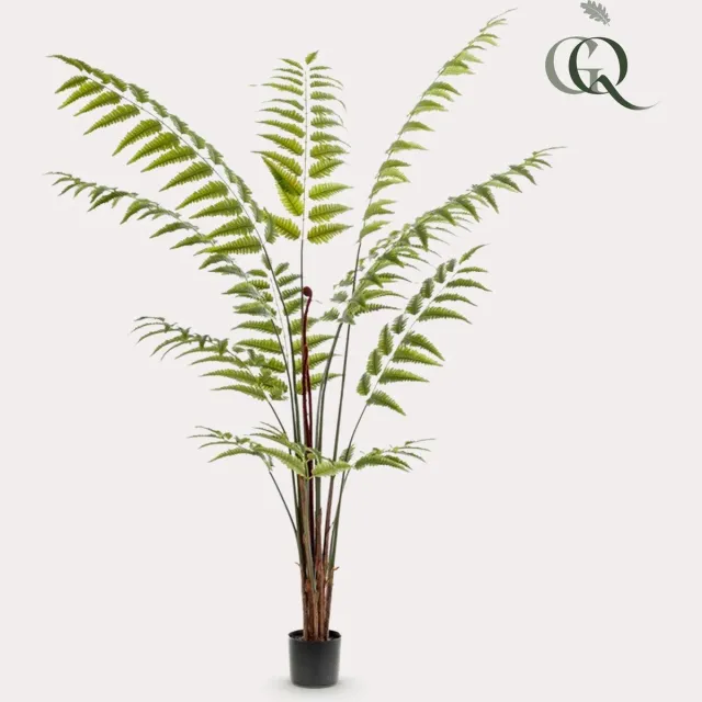 Green Harmony Plants Kunstplant - Rumohra Adiantiformis - Ledervaren - 180 cm Bruin
