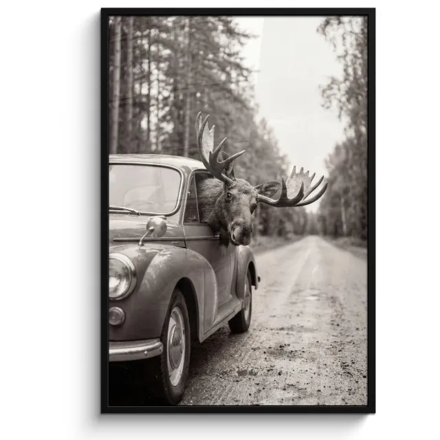FrameYourWall Poster in lijst - Fotolijst 80x120 cm - Posters - Eland - Auto - Gewei - Zwart - Wit - Posterlijst zwart - Decoratie - Wanddecoratie woonkamer - Muurdecoratie slaapkamer