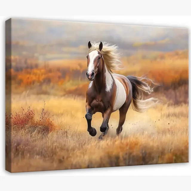 WALLARENA Canvas schilderij - 60x40 cm - afbeelding van een paard, dieren, natuur voor slaapkamer, woonkamer, keuken multikleurig