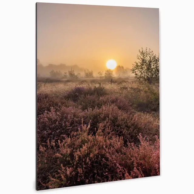 XXL Direct Fotoprint op aluminium - Zonsopgang Wekeromse Zand - 90x60 | Superhoge printkwaliteit afdruk | Extra stevig 4 mm Alupanel-Blauwbond | Voorzien van een matte afwerking | Inclusief UV-coating | Geschikt voor binnen én buiten Meerkleurig