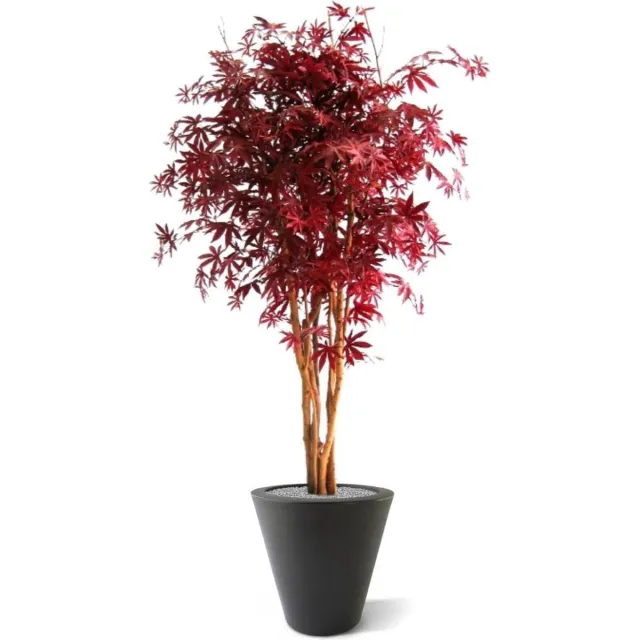 maxifleur Kunstplanten Acer kunstboom 160cm - burgundy Rood