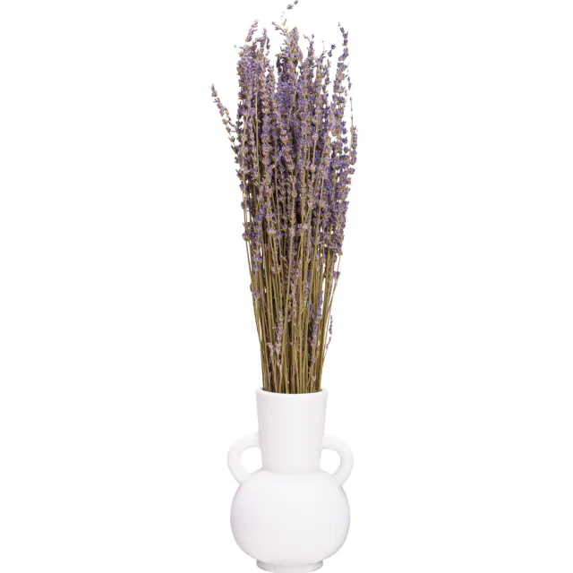 QUVIO Decoratieve vaas met handvatten- Keramiek - Wit