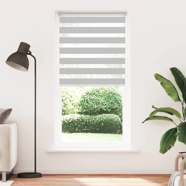 vidaXL Zebra rolgordijn 100x230 cm stofbreedte 95,9 cm lichtgrijs grijs