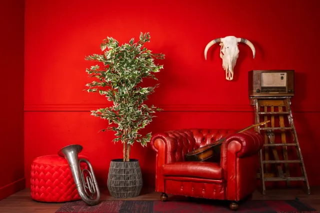 NeverLeafs Kunstplant Ficus groen - 160 cm