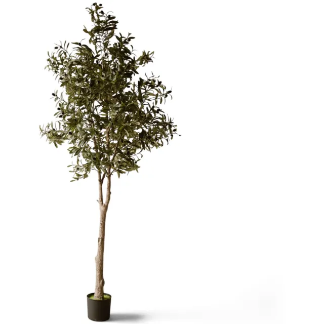 Indore Home Indore Silva Kunst Olijfboom 120 cm – Realistische Kunstplant Olijfboom – Kunstboom voor Binnen – Groen