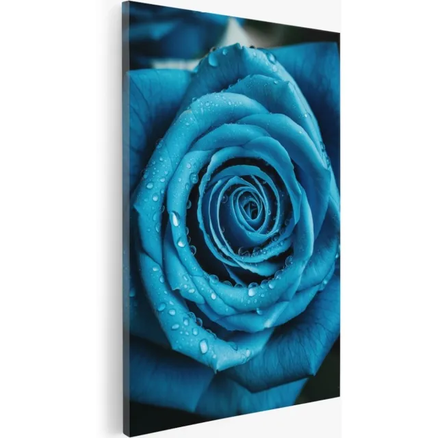 Saammp Canvas Schilderij - Grote Blauwe Roos - Natuur - Bloemen - 50x70 - Foto op canvas - Wanddecoratie - Muurdecoratie Woonkamer - Kantoor Decoratie Multicolor