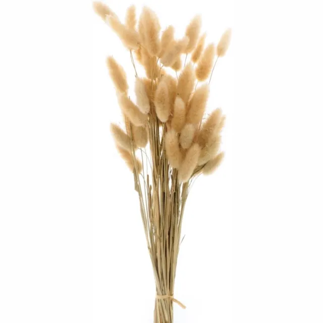 Boeket van gedroogde bloemen Artemio beige