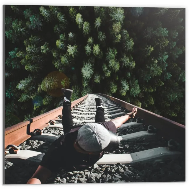 KuijsFotoprint Dibond - Man aan Ladder boven Bos - 50x50cm Foto op Aluminium (Met Ophangsysteem) Groen