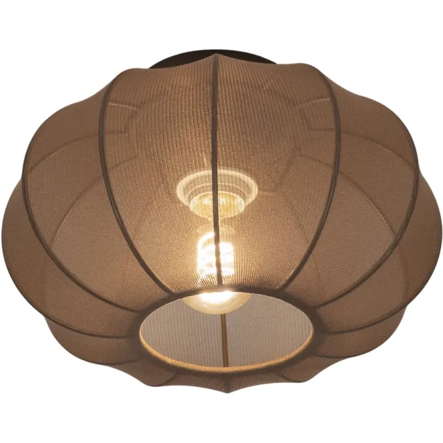 Lumidora Plafondlamp 75601 - Plafonniere - TACK - E27 - Bruin - Metaal - ⌀ 30 cm