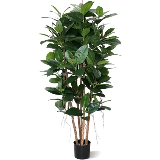 Maxifleur Philodendron Kolom 155cm groen