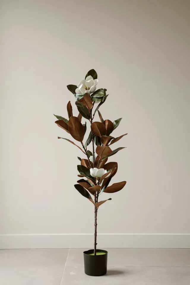 Indore Home Indore Silva - Kunstplant Magnolia - 120cm Rood