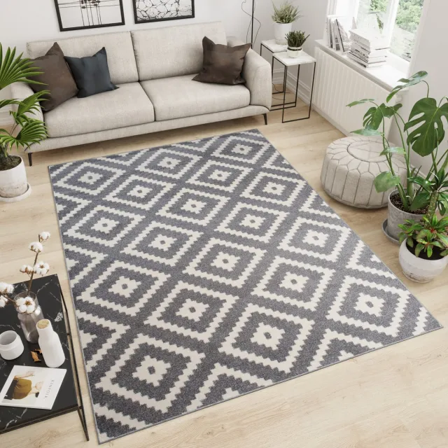 Tapiso Maroko Vloerkleed Tapijt Woonkamer Grijs 4