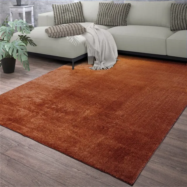 TT Home Woonkamer korte pool effen modern design wasbaar 60 x 100 cm Vierkant 60 x 100 cm Vierkant rood 2