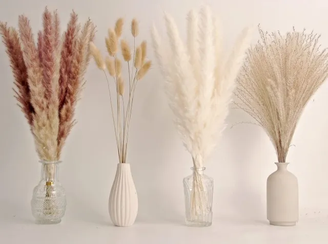 Famanu Set van 65 stuks Pampasgrasdecoratie met gedroogde bloemen Zwart