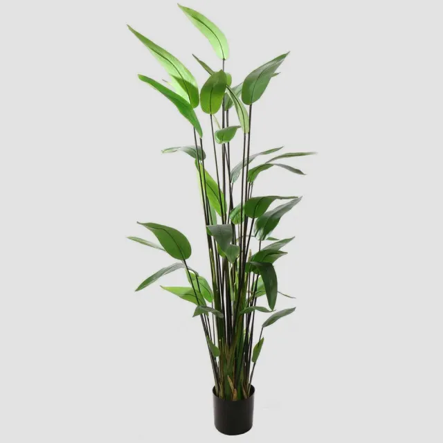 Pure Kunstplant Water Canna – 180 cm