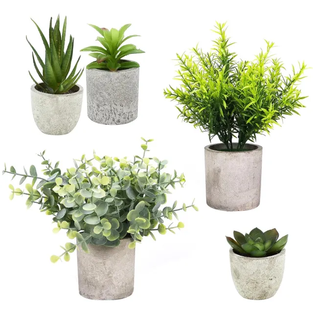 Famanu Set van 5 kleine kunstplanten, diverse mini-decoratieve planten voor interieurdecoratie Zwart