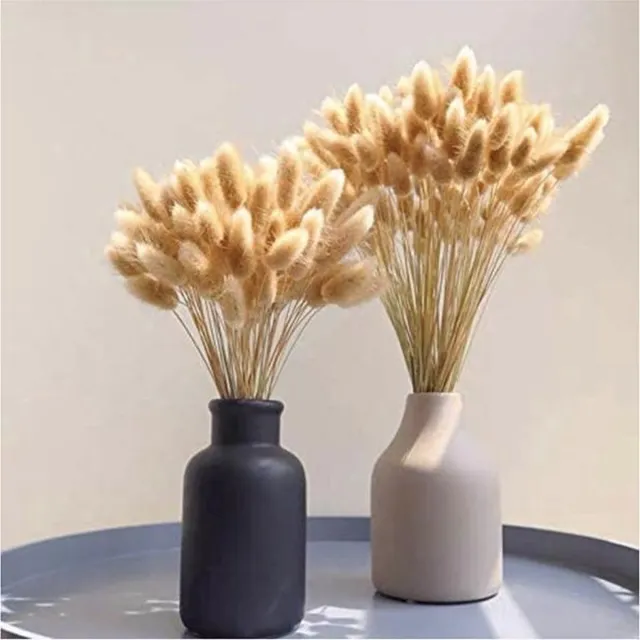 Natuurlijk Bloemen Lagurus - Hazenstaartje - droogbloemen - mini pampas - 60 cm - Natuurlijk Bloemen Bruin