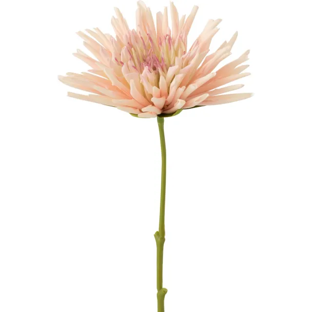J-Line bloem Chrysant Mini - kunststof - wit/lichtroze - 24 stuks